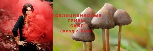 МДМА Каменка