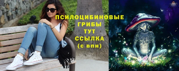 спиды Инсар