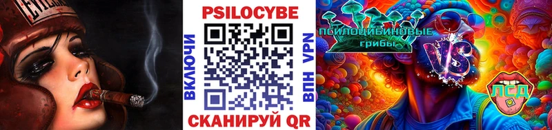 Купить  Духовщина  Псилоцибиновые грибы MAGIC MUSHROOMS 